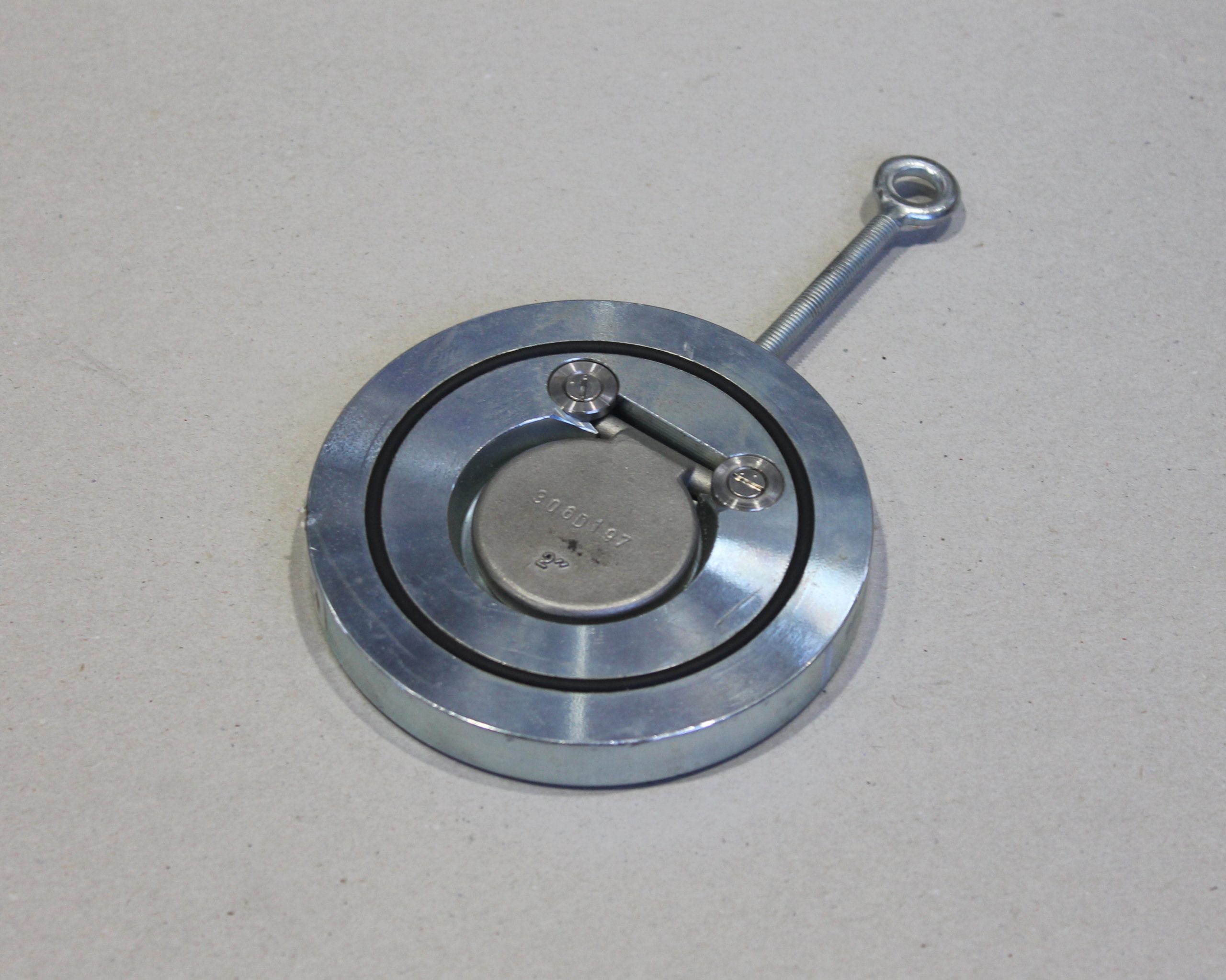 Disc valve DN 50